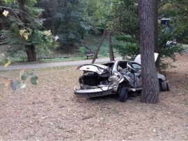 Kierowca renault roztrzaskał auto o drzewo
