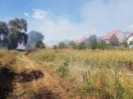 Ogromny pożar traw koło Krosna Odrzańskiego. Zagrożona jest pobliska wieś (ZDJĘCIA)