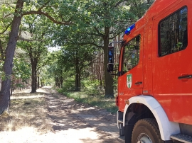 Pożar lasu w Barcikowicach. W akcji 3 zastępy straży pożarnej