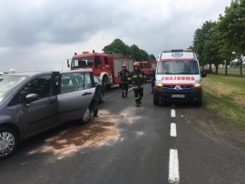 Kolizja dwóch pojazdów na trasie Łagów - Leśniów Wielki. Jedna osoba ranna