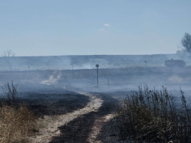 Groźny pożar pod Krosnem Odrzańskim. Spłonęło 15 hektarów traw. Ogień zagrażał wsi