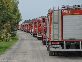 Ćwiczenia &quot;LAS 2018&quot; w Nowogrodzie Bobrzańskim. W akcji strażacy z dwóch powiatów