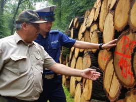 Wspólne działania straży leśnej i policji (ZDJĘCIA)