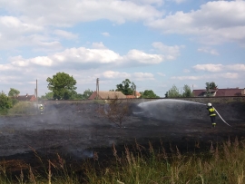 Pożar traw w Motylewie. Ogień niebezpiecznie zbliżał się do zabudowań
