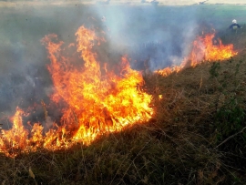 Pożar traw w Kłopocie. Łąka była sucha jak wiór. Po kilku minutach ogień objął 1,5 hektara