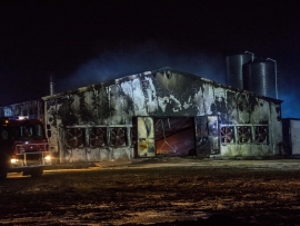 Potężny pożar kurnika w Swarzynicach koło Sulechowa. Około 32 tys. kurczaków spłonęło żywcem