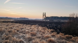Pożar nieużytków pod Nowogrodem Bobrzańskim
