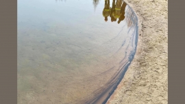 Ktoś zanieczyścił jezioro w Kłodawie koło Gorzowa