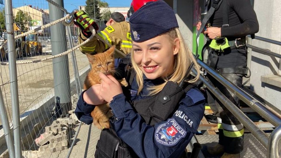 Policjantka przygarnęła małego kotka, którego chwilę wcześniej ratowała z opresji!