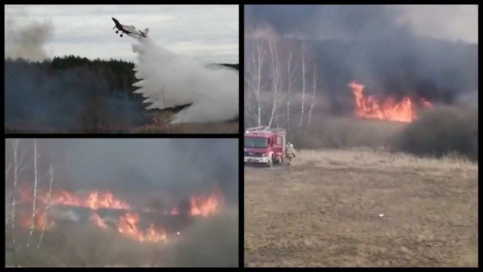Duży pożar nieużytków pod Cybinką. W akcji 11 zastępów straży pożarnej i samolot gaśniczy!