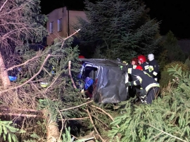 Groźny wypadek w Jeninie. Osobówka ścięła trzy drzewa