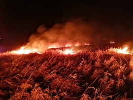 Pożar traw w Podlegórzu koło Sulechowa. Ogień zbliżał się do lasu