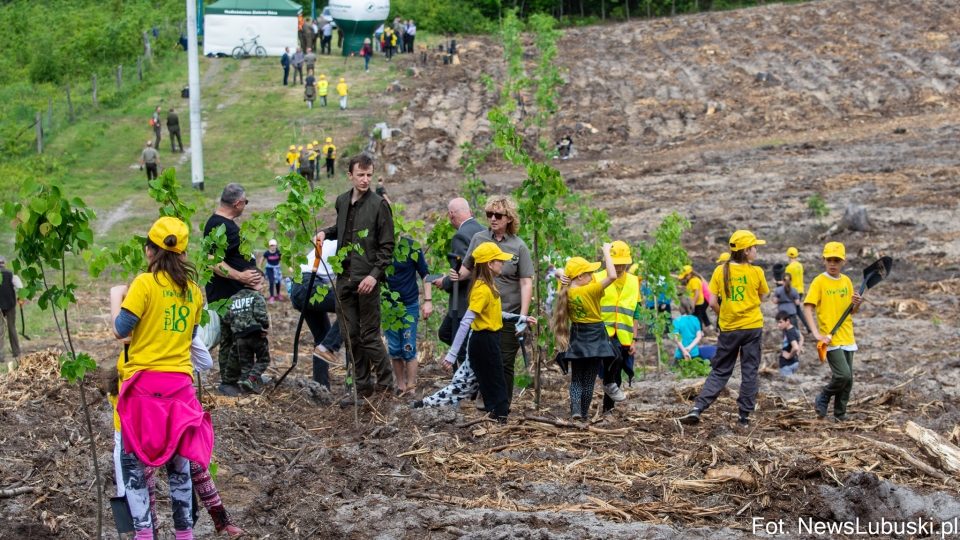 Zielona Góra: Akcja sadzenia drzew w Dzień Dziecka. Posadzono 170 lip i 40 świerków! (FOTORELACJA)