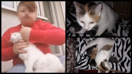 Chłopiec z Gorzowa maltretował kota. Filmiki wrzucał do internetu