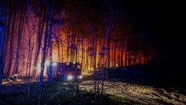 Groźny pożar lasu pod Sulechowem. &quot;Ogień prawie łapał wierzchołki drzew&quot;