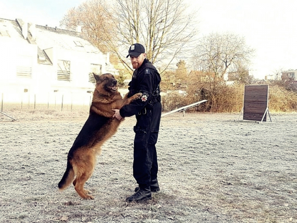 Toro na zasłużonej emeryturze – policyjny pies zamieszka ze swoim przewodnikiem (ZDJĘCIA I FILM)
