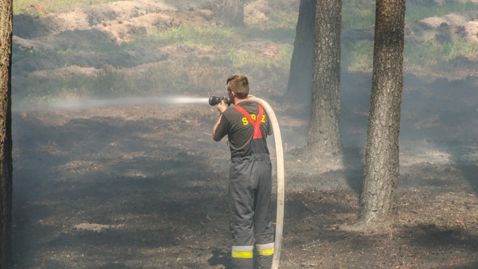 Pożar lasu koło Nowogrodu Bobrzańskiego. Strażacy znów wezwani w to samo miejsce (ZDJĘCIA)