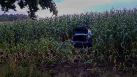 Policyjny pościg w Czerwieńsku. Kierowca uciekł w pole kukurydzy!