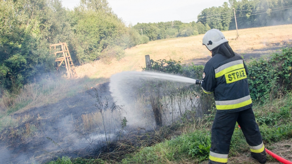 Pożar ścierniska w Świdnicy pod Zieloną Górą. To podpalenie (ZDJĘCIA)